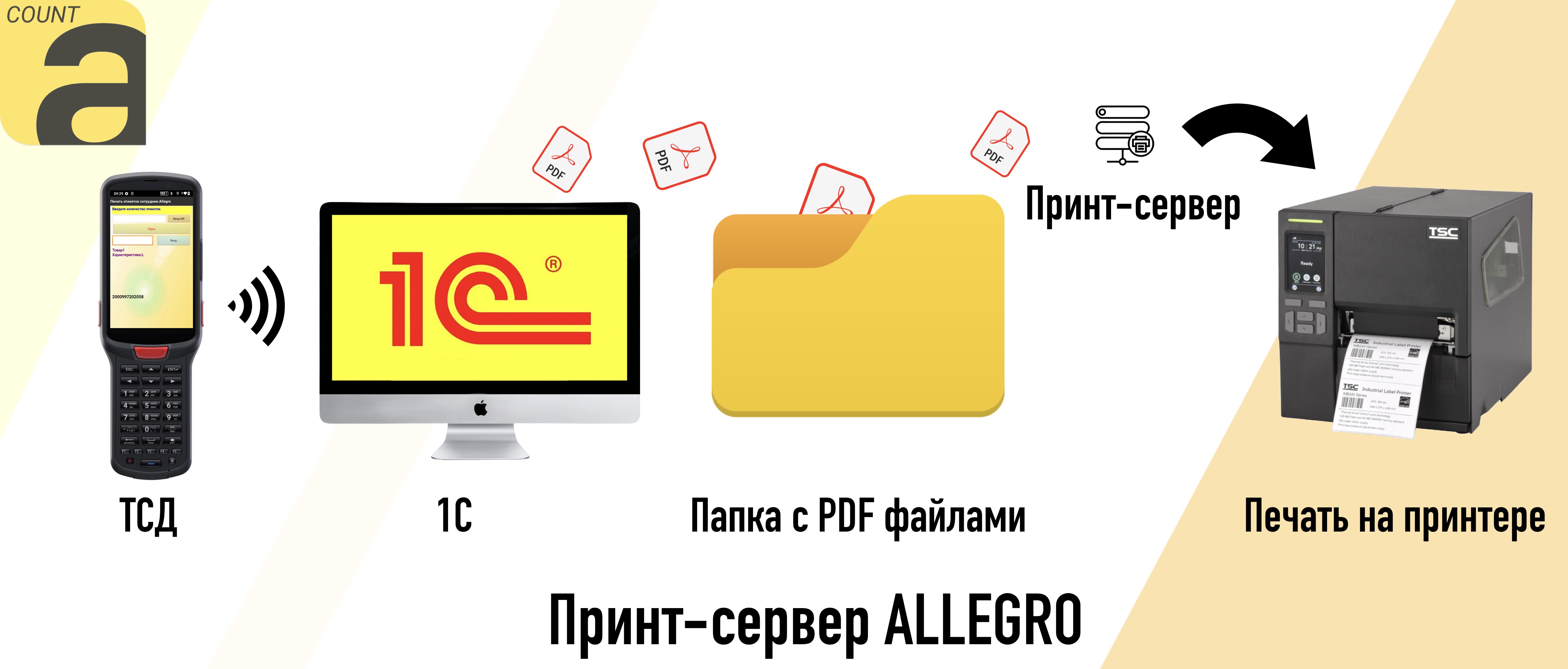 Схема Принт-сервера Allegro