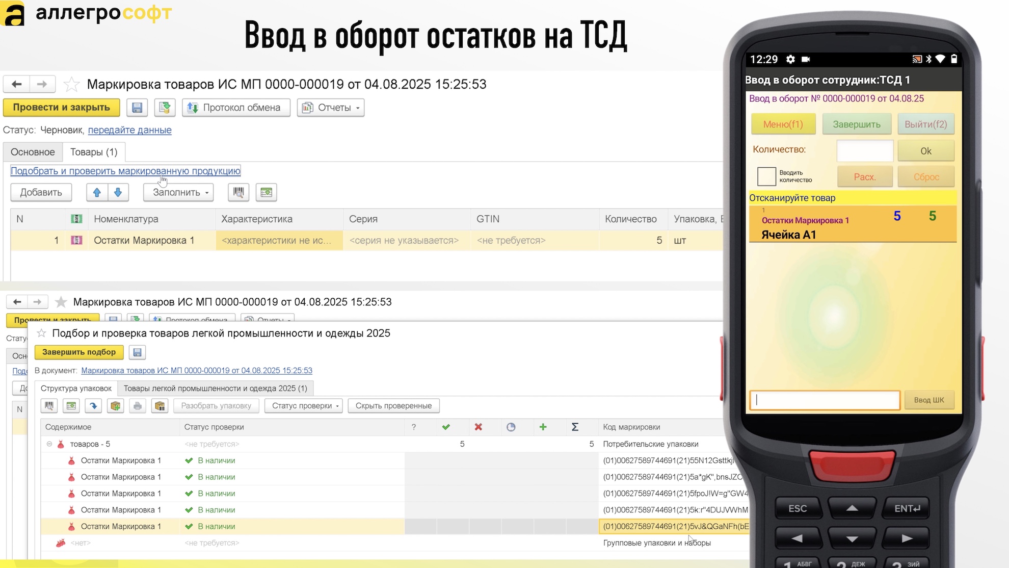 Ввод в оборот остатков на ТСД